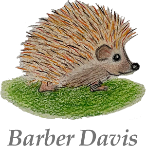 Barber Davis Logo